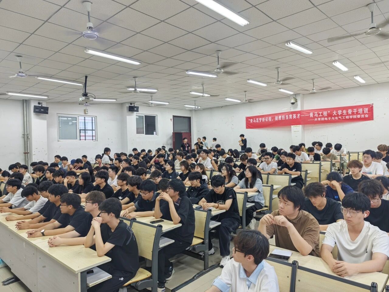 33A53